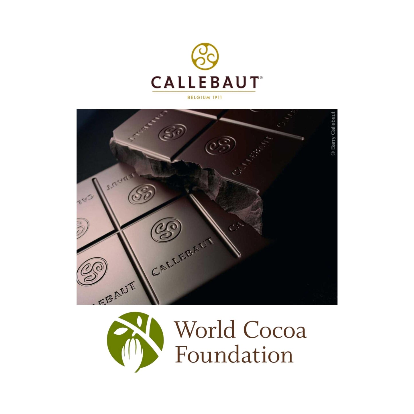 cioccolato-di-pasqua-fondente-belga
